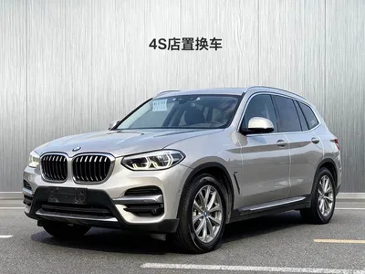 2020 BMW X3 xDrive25i Luxury Package, фото 1, лот 10397771