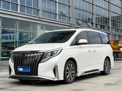 2020 GAC Trumpchi Trumpchi M8 Master Edition 390T Premium, фото 1, лот 10419889