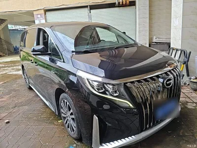 2021 GAC Trumpchi Trumpchi M8 Master Series 390T Prestige Edition, фото 4, лот 10421851