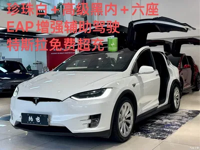 2017 Tesla Model X 100D Long Range, фото 1, лот 10455256