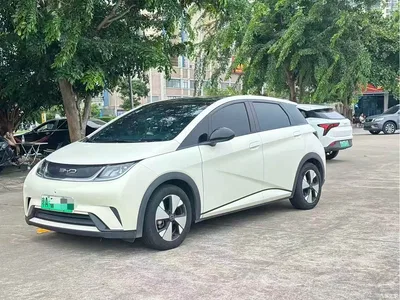 2023 BYD Dolphin 420km Fashion Edition, фото 1, лот 11548400