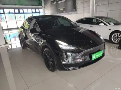 2023 Tesla Model Y Long Range All-Wheel Drive Edition, фото 4, лот 10374204
