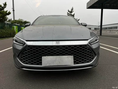 2023 BYD Qin PLUS Champion Edition DM-i 55KM Surpassing, фото 2, лот 10770987