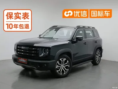 2022 Haval Big Dog 1.5T DCT FWD Border Collie Edition, фото 1, лот 11177876