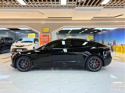 2022 Tesla Model 3 Performance High-Performance AWD, фото 2, лот 11548318