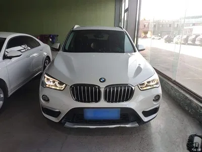 2019 BMW X1 sDrive18Li Premium Model, фото 3, лот 11585657