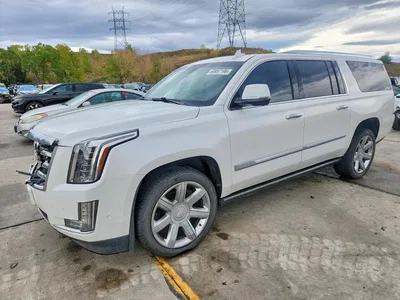 2019 CADILLAC ESCALADE ESV PREMIUM LUXURY, фото 1, лот 11208548