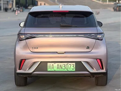2021 BYD Dolphin 405km Freedom Edition, фото 4, лот 11547505