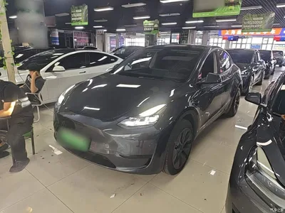 2024 Tesla Model Y Rear-Wheel Drive Version, фото 1, лот 10440964