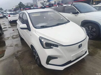 2020 Changan Benben E-Star Model Happy Edition (LFP 31.18kWh), фото 4, лот 11242500