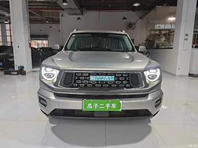 2023 Haval Second-Generation Big Dog New Energy DHT-PHEV 105km Trend Electric Edition, фото 3, лот 11192308