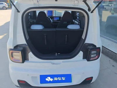 2024 Geely Galaxy Panda mini 200km Endurance Bear, фото 4, лот 10430455