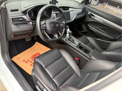 2020 Geely Binrui Facelift 1.4T CVT Asian Games Edition, фото 4, лот 10295458