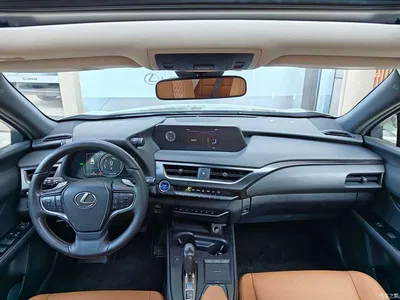2020 Lexus UX Electric 300e Pure Yue Edition, фото 4, лот 10404520