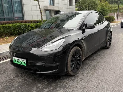 2021 Tesla Model Y Standard Range Rear-Wheel Drive, фото 1, лот 11468915