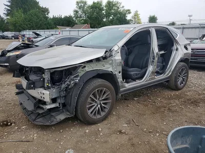 2024 LEXUS NX 350 PREMIUM, фото 1, лот 10801250