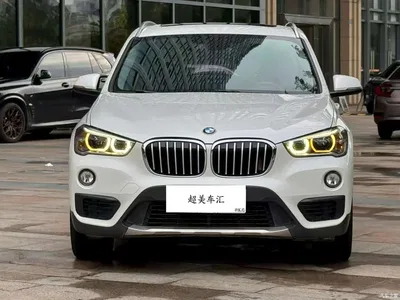 2019 BMW X1 sDrive20Li Leading Model, фото 2, лот 11199941