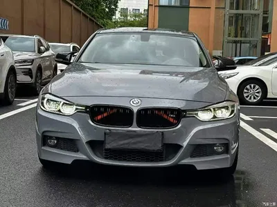 2019 BMW 3 Series 320Li M Luxury Package, фото 2, лот 11270725