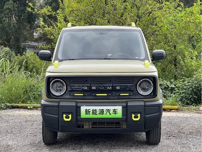 2024 Geely Galaxy Panda 200km Panda Knight, фото 2, лот 10430493
