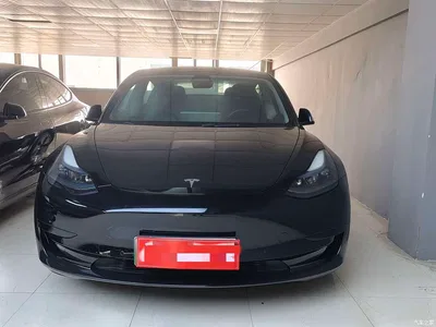 2023 Tesla Model 3 Rear-Wheel Drive, фото 2, лот 10358171