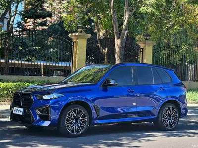 2023 BMW X5 M Model X5 M Thunder Edition, фото 1, лот 10383353