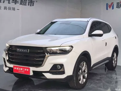 2021 Haval H6 Model National Trend Edition 1.5T Auto Champion, фото 1, лот 10299021