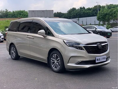 2021 Buick GL8 ES Landlord 653T Premium, фото 3, лот 10635474