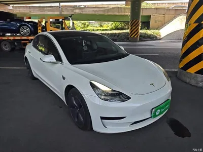 2019 Tesla Model 3 (Import) Standard Range RWD Upgraded Edition, фото 4, лот 10375806