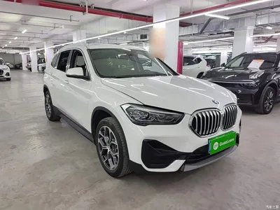 2022 BMW X1 sDrive25Li Leading, фото 4, лот 10467175