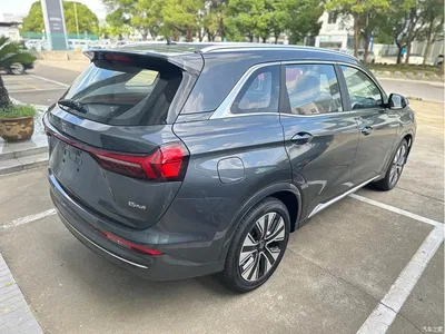 2026 Landian E5 PLUS 165km Long Range First Edition Ultra 7-Seater, фото 4, лот 11646077