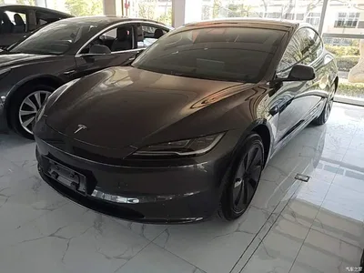 2023 Tesla Model 3 Rear-Wheel Drive, фото 1, лот 10369408