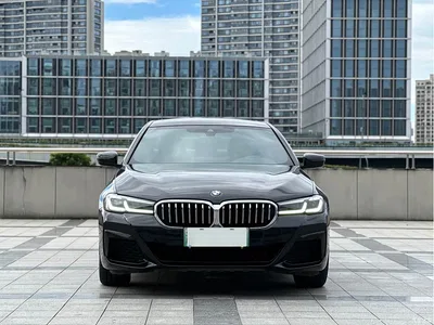 2021 BMW 5 Series New Energy 535Le M Sport Package, фото 2, лот 10473968