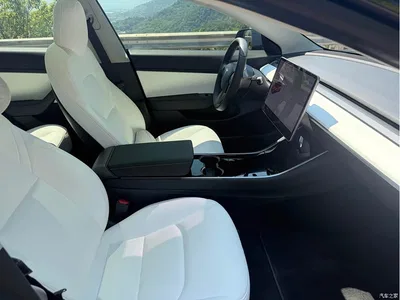 2020 Tesla Model 3 Facelift Long Range Rear-Wheel Drive, фото 4, лот 10454224