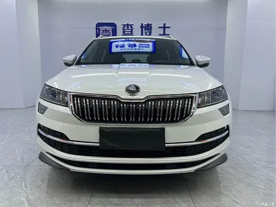 2023 Škoda Karoq TSI280 Premium Edition, фото 2, лот 10348637