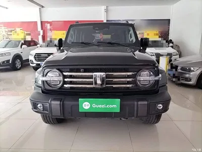 2023 Tank 300 Urban Edition 2.0T Very Stylish, фото 3, лот 10345445