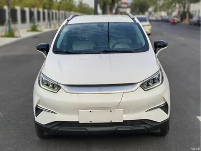 2021 BYD Yuan Pro 401KM Luxury Model, фото 2, лот 10573723