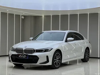 2023 BMW 3 Series 320Li M Sport Package, фото 1, лот 10460398