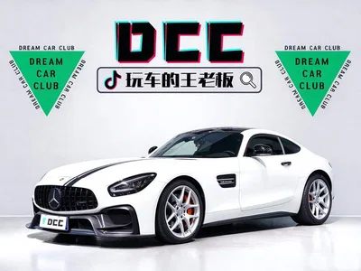 2019 Mercedes-Benz AMG GT, фото 1, лот 11565554