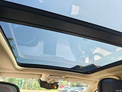 2019 BYD Tang New Energy DM 2.0T AWD Intelligent Genesis Edition 7-seater China VI, фото 4, лот 10274826