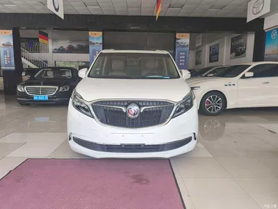 2018 Buick GL8 ES 28T Flagship Type China VI, фото 1, лот 10256743