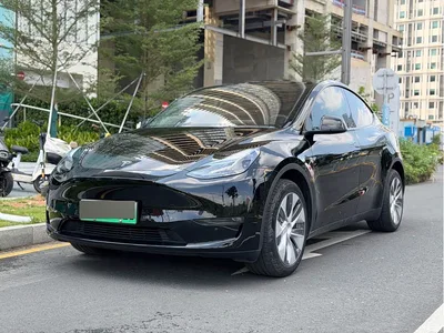 2023 Tesla Model Y Long Range All-Wheel Drive Edition, фото 1, лот 10385199