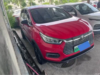 2019 BYD Yuan New Energy EV535 Smart Connected Trend Leader Type, фото 3, лот 10273977