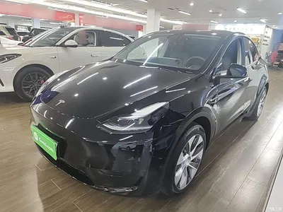 2022 Tesla Model Y Facelift Rear-Wheel Drive Version, фото 1, лот 10370654