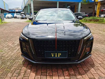 2025 Hongqi H5 2.0T Automatic Mystic Shadow, фото 2, лот 10288683