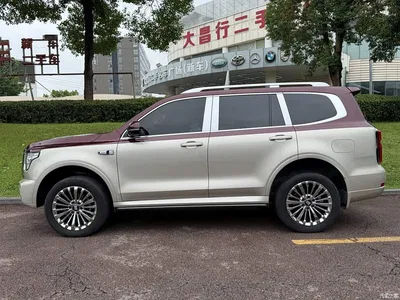 2022 Tank 500 3.0T Premium Custom Edition 5-Seater, фото 3, лот 10887954