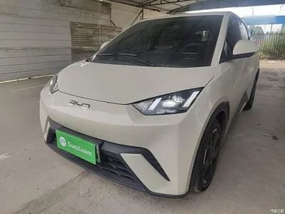 2024 BYD Seagull Glory Edition 305km Freedom Edition, фото 2, лот 10592838