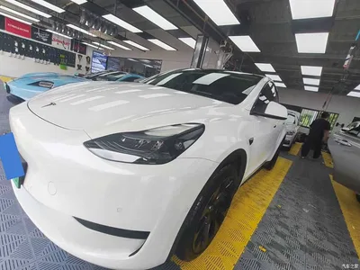 2023 Tesla Model Y Rear-Wheel Drive Edition, фото 1, лот 10890212