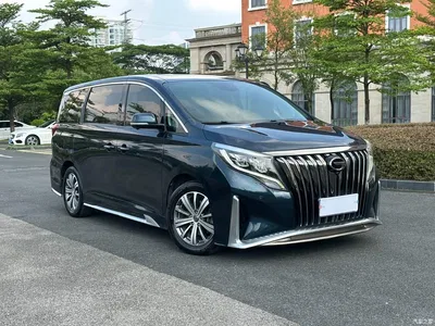 2020 GAC Trumpchi Trumpchi M8 Master Edition 390T Ultimate, фото 3, лот 10415985
