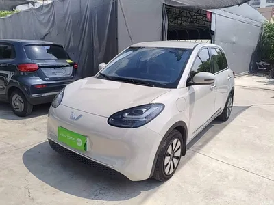 2024 Wuling Motors Wuling Bingo 333km Comfort Edition, фото 1, лот 10372077