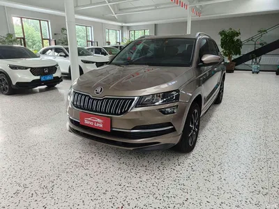 2022 Škoda Karoq TSI280 Premium Edition, фото 1, лот 10348349